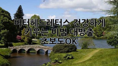 버터헤드레터스🌱 건강하게 키우는 비법 대방출! #초보도_OK