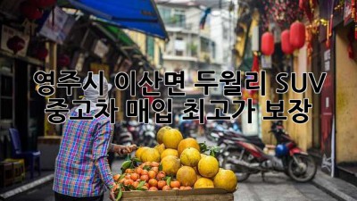 영주시 이산면 두월리 SUV 중고차 매입, 최고가 보장!